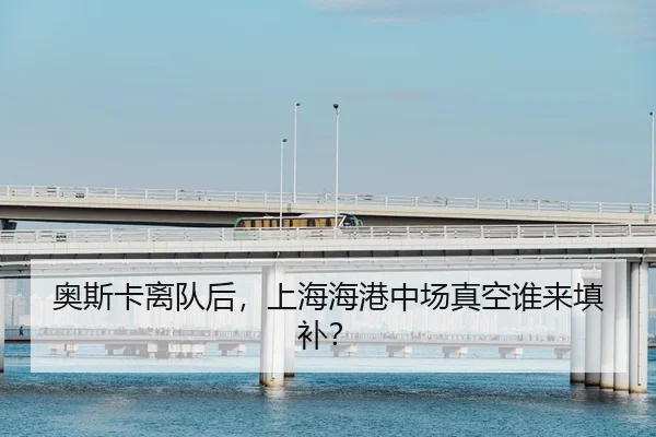 ao-si-ka-li-dui-hou-shang-hai-hai-gang-zhong-chang-zhen-kong-shui-lai-tian-bu-2-541.jpg
