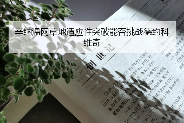 xin-na-wen-wang-cao-di-shi-ying-xing-tu-po-neng-fou-tiao-zhan-de-yue-ke-wei-qi-2-848.jpg