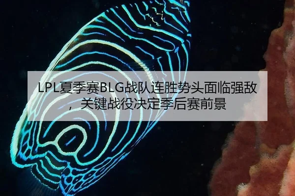 xia-ji-sai-zhan-dui-lian-sheng-shi-tou-mian-lin-qiang-di-guan-jian-zhan-yi-jue-ding-ji-hou-sai-qian-jing-2-237.jpg