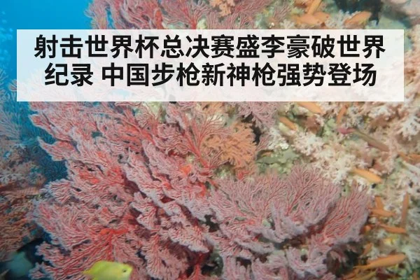 射击世界杯总决赛盛李豪破世界纪录 中国步枪新神枪强势登场