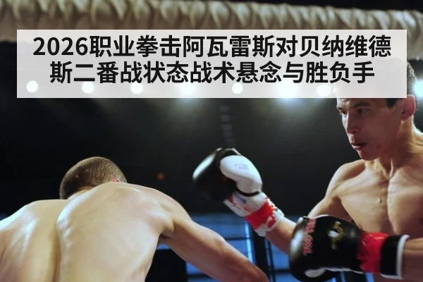 2026职业拳击阿瓦雷斯对贝纳维德斯二番战状态战术悬念与胜负手